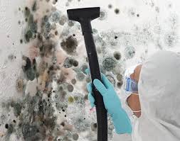 Trusted Lincoln Beach, OR Mold Remediation Experts